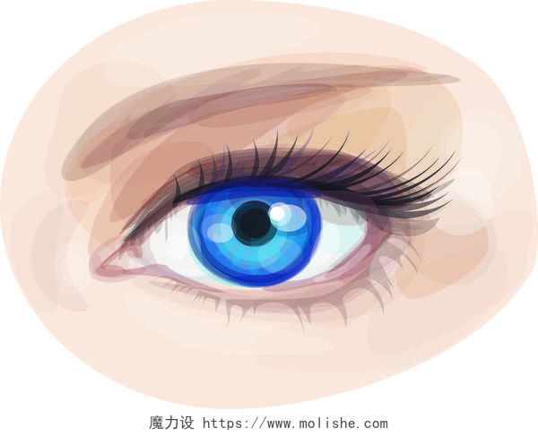 手绘图女人眼睛形象特写眼部整形美女眼睛